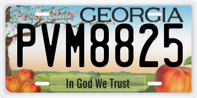 GA license plate PVM8825