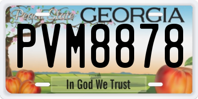 GA license plate PVM8878