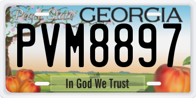 GA license plate PVM8897