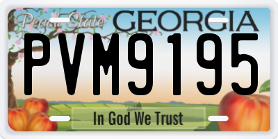 GA license plate PVM9195