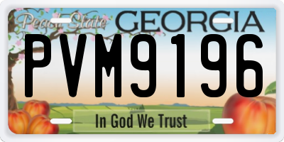 GA license plate PVM9196