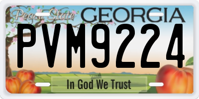 GA license plate PVM9224