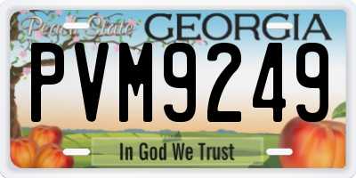 GA license plate PVM9249