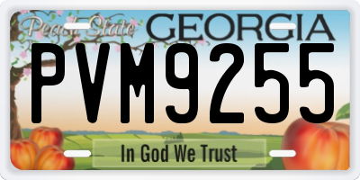 GA license plate PVM9255