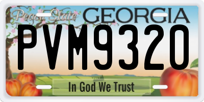 GA license plate PVM9320
