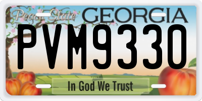 GA license plate PVM9330