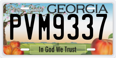 GA license plate PVM9337