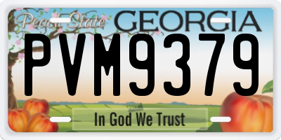 GA license plate PVM9379