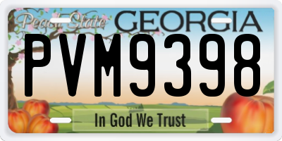 GA license plate PVM9398