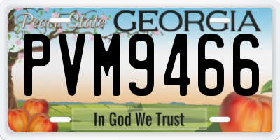 GA license plate PVM9466