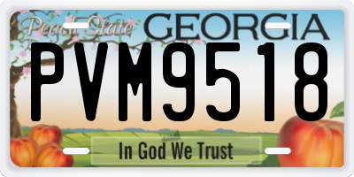 GA license plate PVM9518