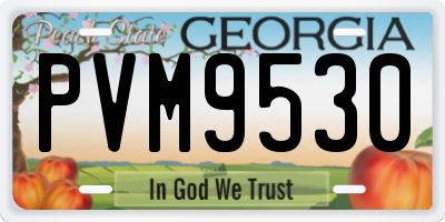 GA license plate PVM9530