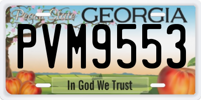 GA license plate PVM9553