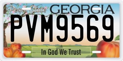 GA license plate PVM9569