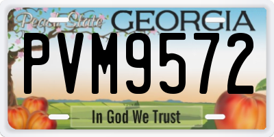 GA license plate PVM9572