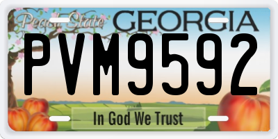 GA license plate PVM9592