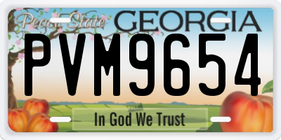 GA license plate PVM9654