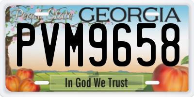 GA license plate PVM9658