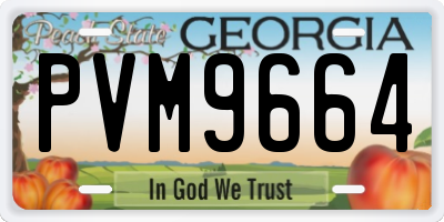 GA license plate PVM9664