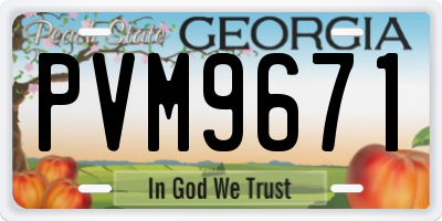 GA license plate PVM9671