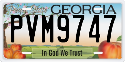 GA license plate PVM9747