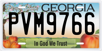 GA license plate PVM9766