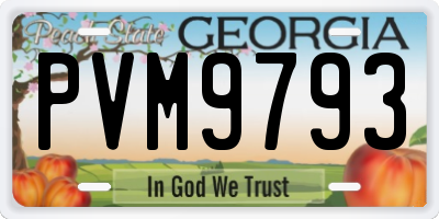 GA license plate PVM9793