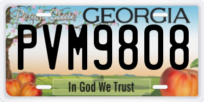 GA license plate PVM9808