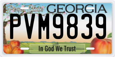 GA license plate PVM9839