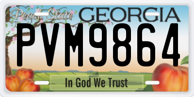 GA license plate PVM9864
