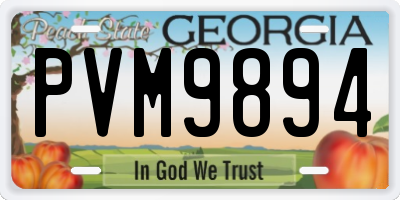 GA license plate PVM9894