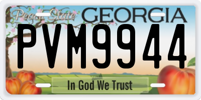 GA license plate PVM9944