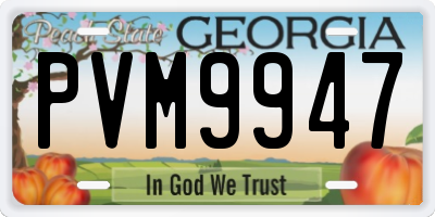 GA license plate PVM9947