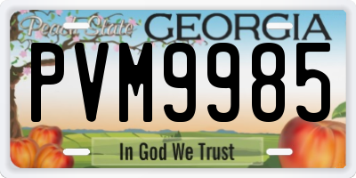 GA license plate PVM9985