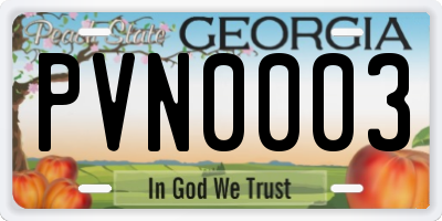 GA license plate PVN0003