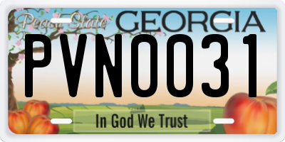 GA license plate PVN0031