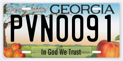 GA license plate PVN0091