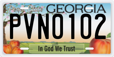 GA license plate PVN0102