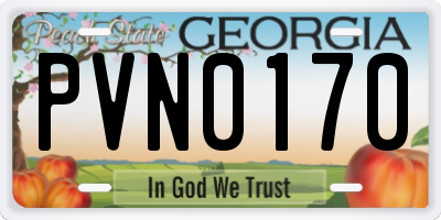 GA license plate PVN0170