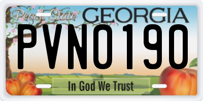 GA license plate PVN0190