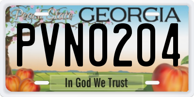 GA license plate PVN0204