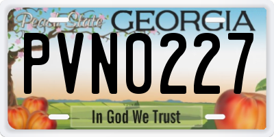 GA license plate PVN0227
