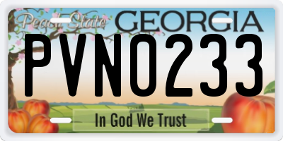 GA license plate PVN0233