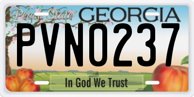 GA license plate PVN0237