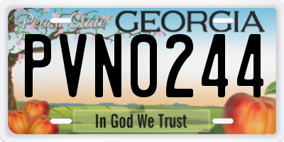 GA license plate PVN0244