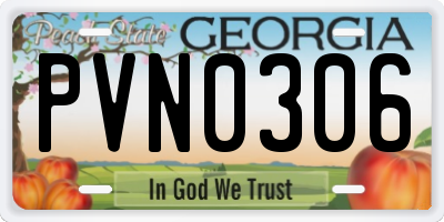 GA license plate PVN0306