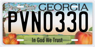 GA license plate PVN0330
