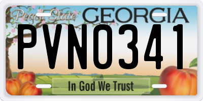 GA license plate PVN0341
