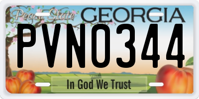 GA license plate PVN0344