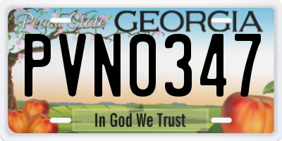 GA license plate PVN0347